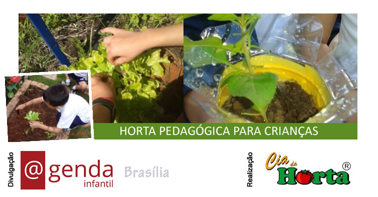 horta-pedagogica-para-criancas-17052016